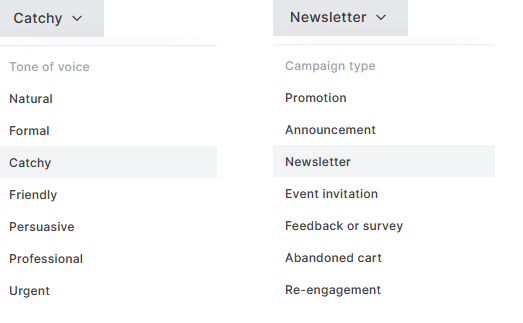 MailerLite regular campaign subject line generator types